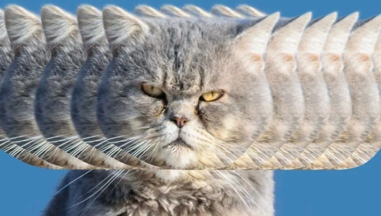 全联促销广告：了解人生厚黑学，更有眼力见