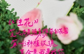 救命，文案要被诗人抢饭碗了？