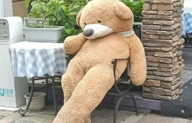 豆瓣网友的神仙文案，我的互联网嘴替