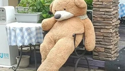 豆瓣网友的神仙文案，我的互联网嘴替