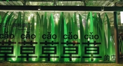 谁懂啊，天猫的种草营销，是真的在种草