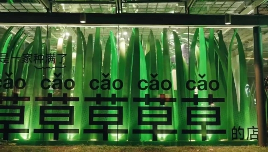 谁懂啊，天猫的种草营销，是真的在种草