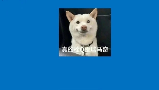 虎扑高校文案，演我上班精神状态！