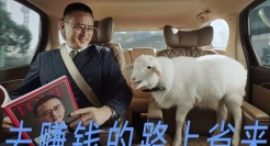 用高德打车薅羊毛，没想到薅到真羊了