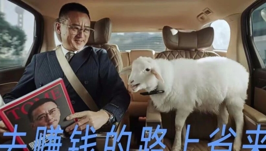 用高德打车薅羊毛，没想到薅到真羊了