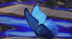 文案｜50句适合发朋友圈的高级文案，句句清醒！