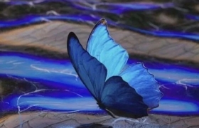 文案｜50句适合发朋友圈的高级文案，句句清醒！