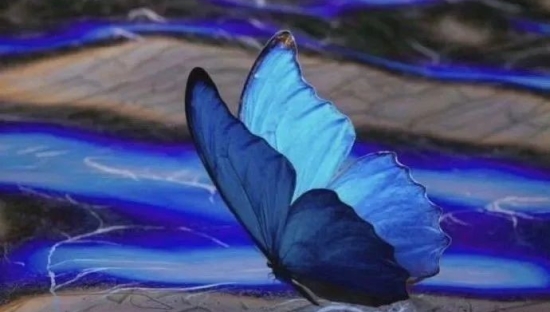 文案｜50句适合发朋友圈的高级文案，句句清醒！