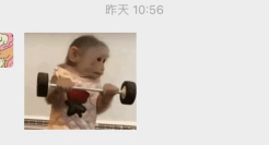 吗喽文学，火了！