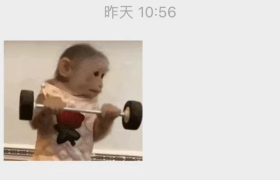 吗喽文学，火了！