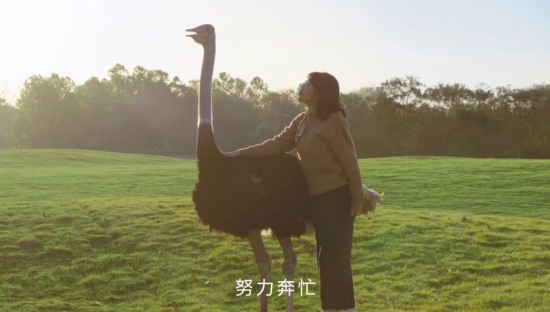 雀巢咖啡“年末特别提醒”突围而出，以“不疯忙”的生活鼓舞人心