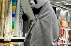 当代打工人的精神状态，被这些品牌拿捏住了