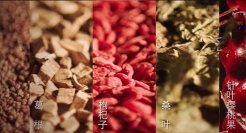 草本植物藏着“大智慧”，真相越扒越有趣