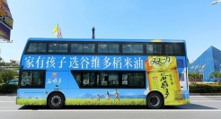 Costco华南首店开业！为啥谷维多稻米油卖爆了？