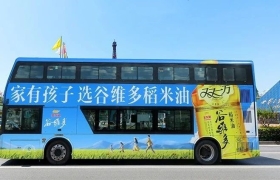 Costco华南首店开业！为啥谷维多稻米油卖爆了？