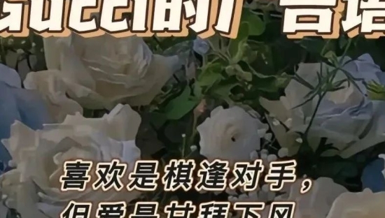 爆改奢侈品广告词，网友整活杀疯了！