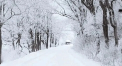 19句冬日文案，绝美