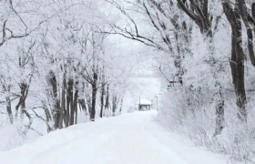 19句冬日文案，绝美