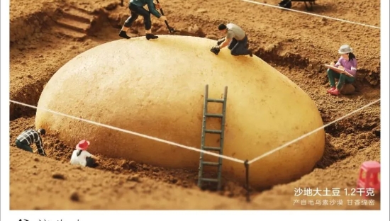 沃尔玛上新“生活省美观”海报，省钱也能很高级！