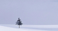 10句春节文案，创意很绝