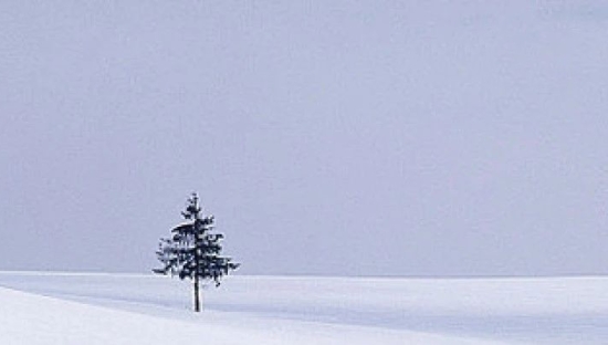 10句春节文案，创意很绝