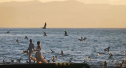 凭借一支纪录片，小度再次刷爆全网