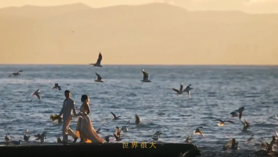 凭借一支纪录片，小度再次刷爆全网