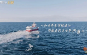 芒果《花少5》封神，治愈系文案天花板！