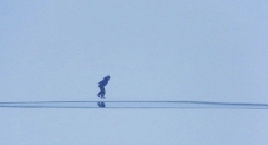 10句文案，送给上班的你我