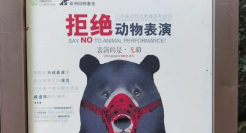 营销鬼才红山动物园，对游客下手了？！