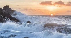 如何理解跨境电商的“半托管”热潮？