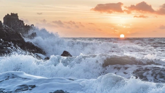 如何理解跨境电商的“半托管”热潮？