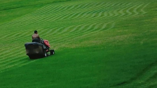 豆瓣神仙评论文案，好会写