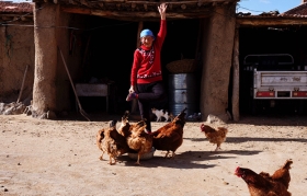 Adidas：有一个地方，她叫玉狗梁