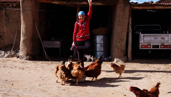 Adidas：有一个地方，她叫玉狗梁