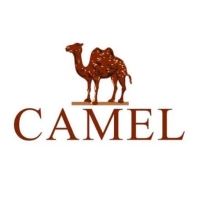 CAMEL 骆驼