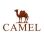CAMEL 骆驼