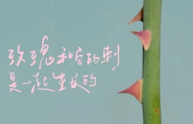 混果汁妇女节，给女性寄了6封情书