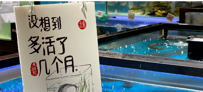 上海大润发写了组有趣文案