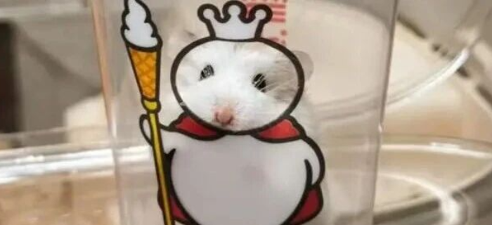 蜜雪冰城爆改“鼠王”？网友：好歹毒的商战！