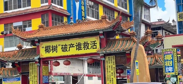 椰树“老登味”海报引热议，网友：还是干擦边吧