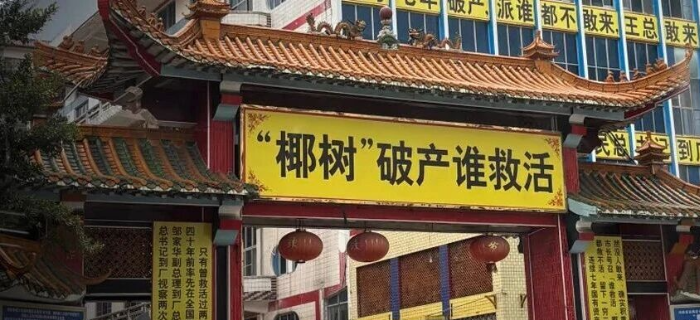 突发！“活菩萨”椰树破产了？