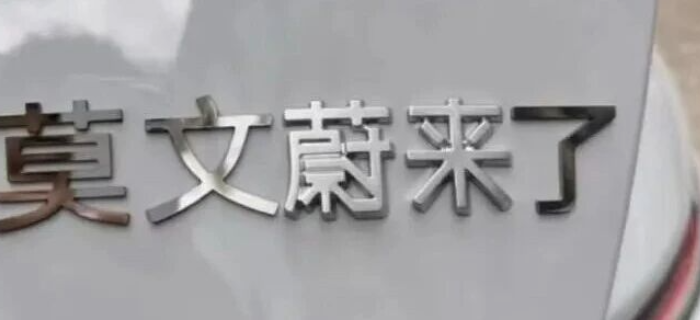 莫文蔚代言蔚来，网友：抽象照进现实了！