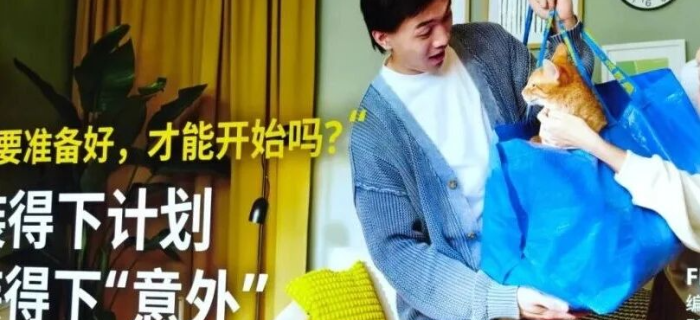 收养流浪猫被网友爆赞，宜家广告又出圈了！