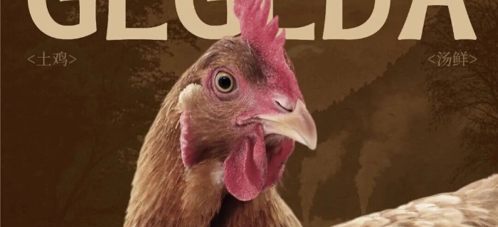 质朴才是高级，一碗鸡汤的流量密码？