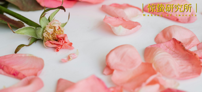 饿了么，“消失”在17岁