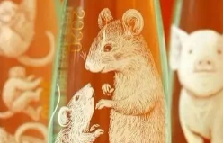 农夫山泉、麦当劳、星巴克“只送不卖”背后的营销逻辑是什么？