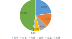 电商跨界联合，国美“站队”拼多多