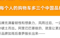 阿里巴巴升级新国货计划扶持国货品牌