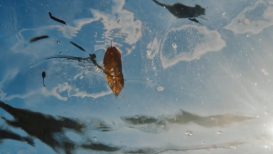 三得利天然水×宇多田光：走进水源地，享受大自然的治愈